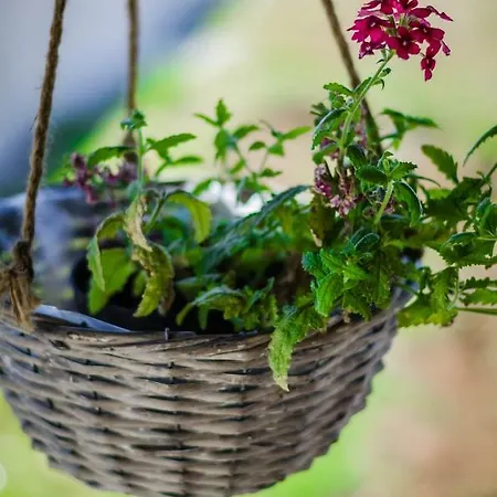 Mobile Lovre Blaz פארק נופש